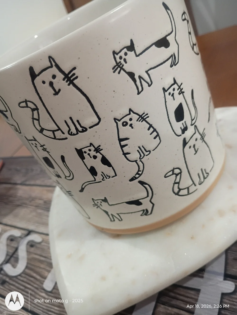 Cat planter All Over Print - Picture 9 of 10